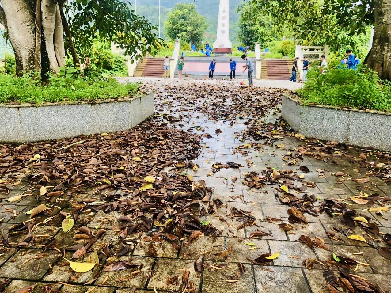 anh tin bai